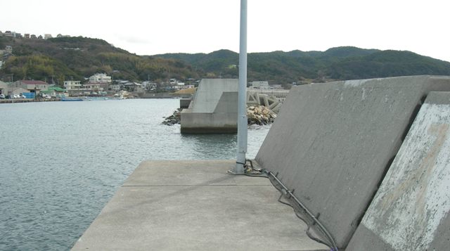 丸山漁港15.JPG