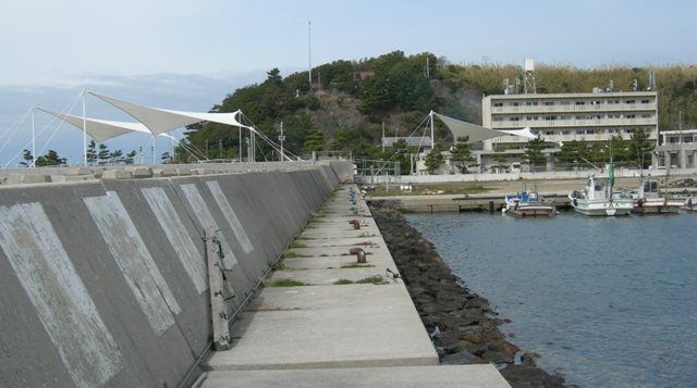 丸山漁港18.JPG