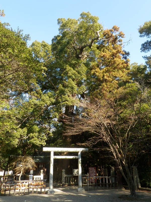 伊弉諾神社18.jpg