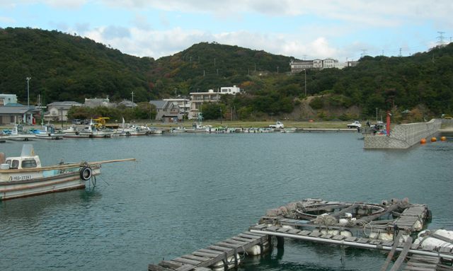 伊毘漁港14.JPG