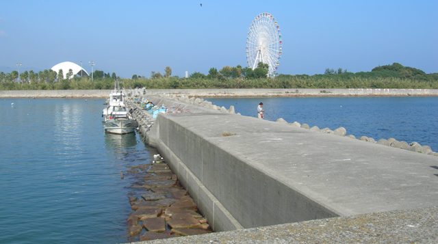 塩尾漁港13.JPG
