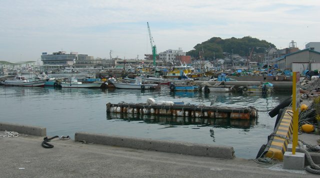 岩屋漁港15.JPG