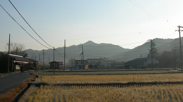 感応寺山1.jpg