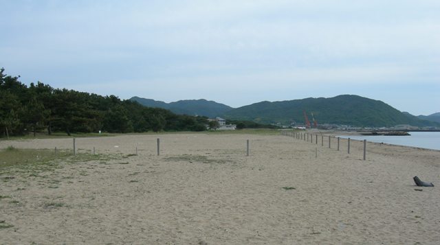 慶野松原海水浴場15.JPG