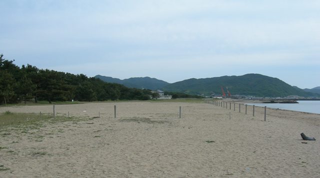 慶野松原海水浴場7.JPG