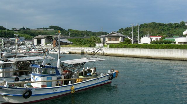 江井漁港23.jpg