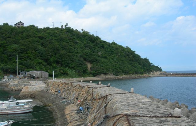 津井漁港10.JPG