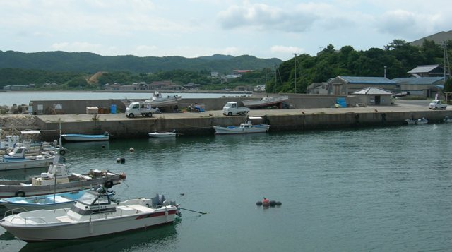 津井漁港13.JPG