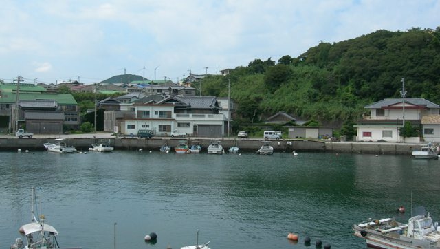 津井漁港15.JPG