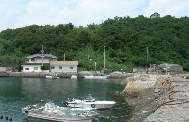 津井漁港16.JPG