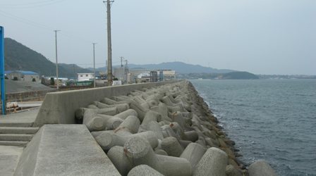 湊港埋立地22.JPG