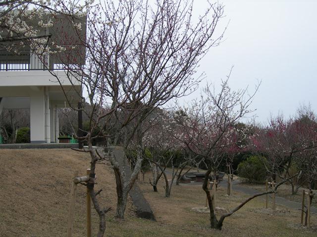 生石公園56.jpg