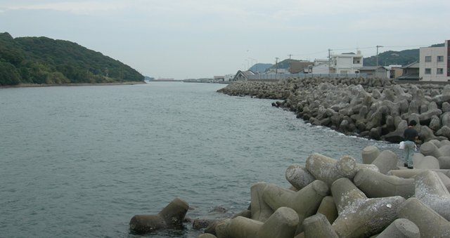 由良漁港06.JPG