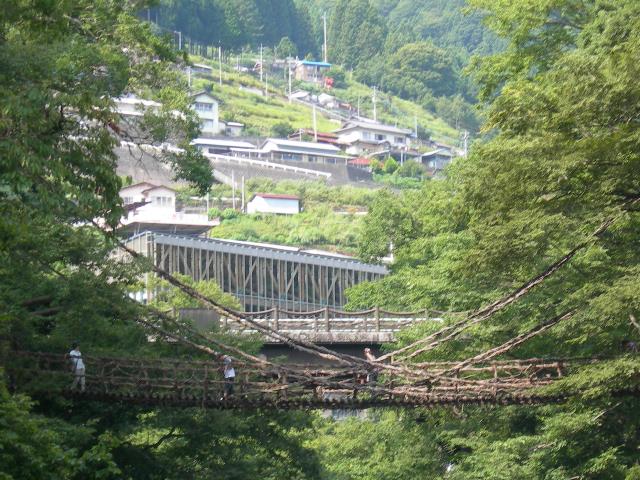 祖谷かずら橋28.jpg