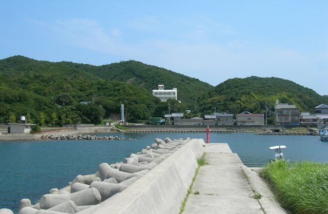阿那賀漁港10.JPG